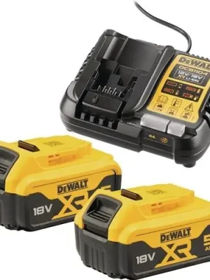 Akku-Starter-Set DCB1104P2 18V 5Ah DEWALT Kostenfreie Lieferung