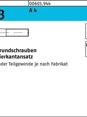Aktuell Flachrundschraube DIN 603 m.Vierkantansatz M 10 x 35 A 4 100 Stück