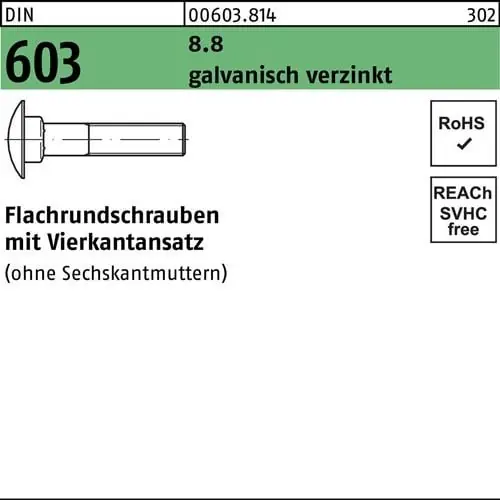 Kracherpreis Flachrundschraube DIN 603 Vierkantansatz M6x30 8.8 galv.verz. 500St.