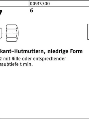 Abverkauf Sechskanthutmutter DIN 917 niedrige FormM36 6 1 Stück