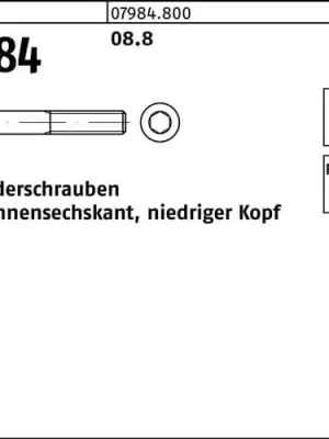 Beliebt Zylinderschraube DIN 7984 Innen-6kt M6x 30 8.8 100 Stück
