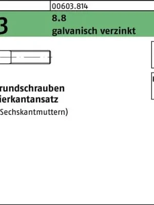 Aktuell Flachrundschraube DIN 603 Vierkantansatz M10x30 8.8 galv.verz. 200St.