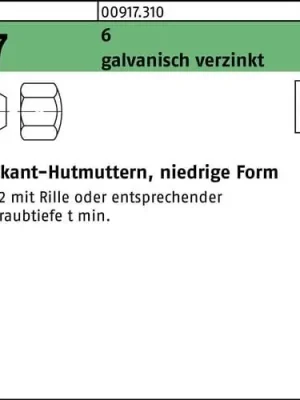 Abverkauf Sechskanthutmutter DIN 917 niedrige FormM6 6 galv.verz. 100 Stück