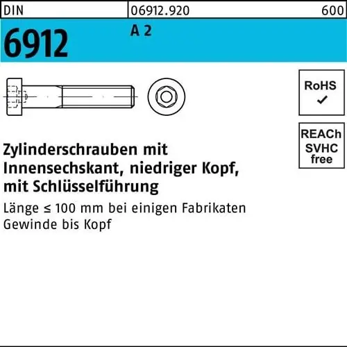 Zylinderschraube DIN 6912 Innen-6kt M10x 70 A 2 50 Stück Echt
