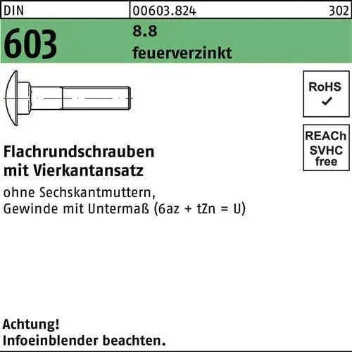 Flachrundschraube DIN 603 Vierkantansatz M12x 25 8.8 feuerverz. 100 Stück Direkt Vom Hersteller