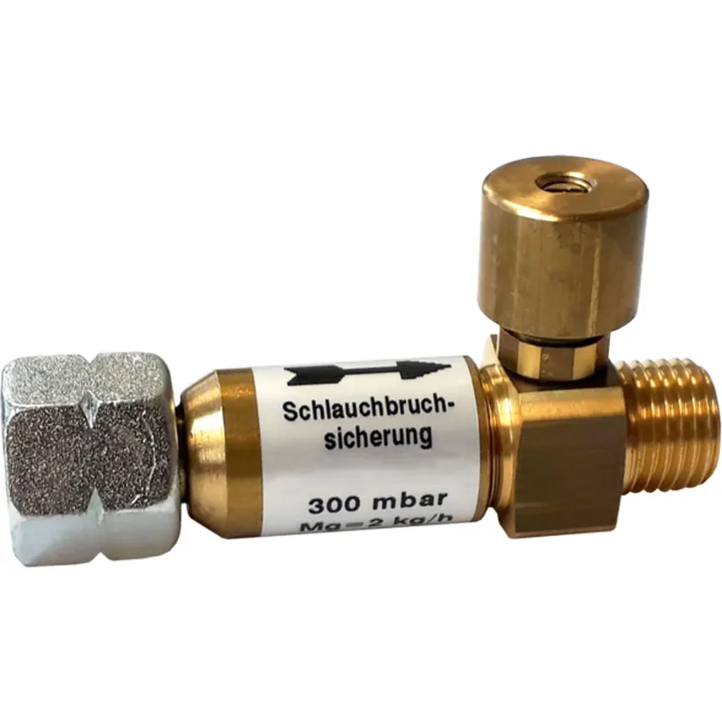 Walter Schlauchbruchsicherung - 628610 Direkt Vom Hersteller