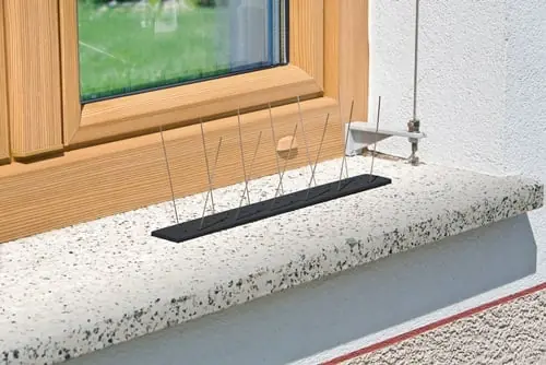 Beliebt WINDHAGER Vogel- und Taubenabwehr Starter Set Schutz bis 1 m 36 Spikes Kunststoff - 7120