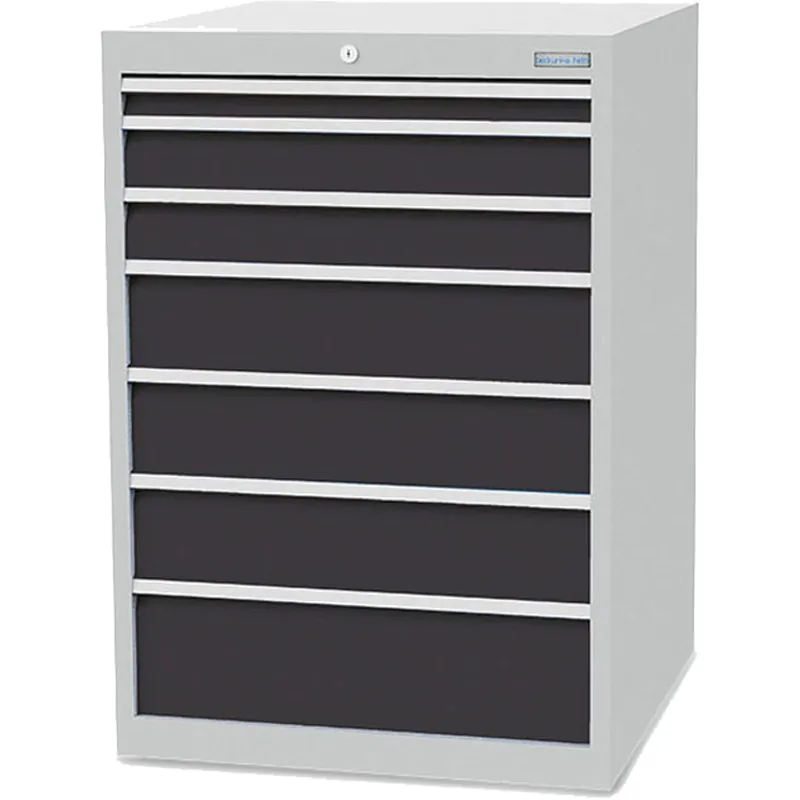 Kostenloser Versand Bedrunka+Hirth Schubladenschrank Tiefe 736 mm R 24-24 7x Schublade BxTxH 705x736x 1.019 mm - 700/1231V10Z