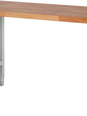 Preis Gesenkt Werkbank Ser.BK 650 B1500xT700xH790-1140mm Buche massiv lichtgrau TECWERK