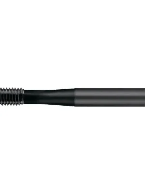 Zertifiziert RUKO Gewindeformer DIN 2174 (371) HSS-Co 5 nitriert-VAP M6 - 271006N