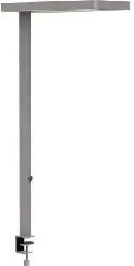 MAUL Tischleuchte MAULjuvis 141459 LED dimmbar silber Sonderangebot